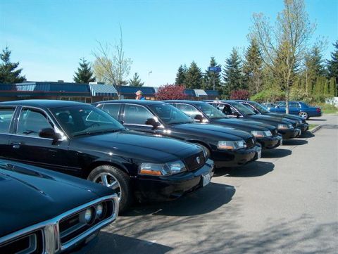 2001 Ford Crown Victoria - Several black Ford Crown Victorias are parked in a lot on a sunny day.
