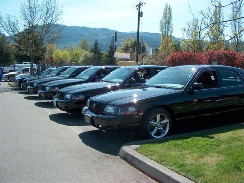 2001 Ford Crown Victoria - Several black sedans are lined up in a parking lot, with trees and hills in the background.