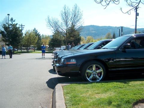 2001 Ford Crown Victoria - A line of black sedans, including a 2001 Ford Crown Victoria, are parked outdoors on a sunny day.