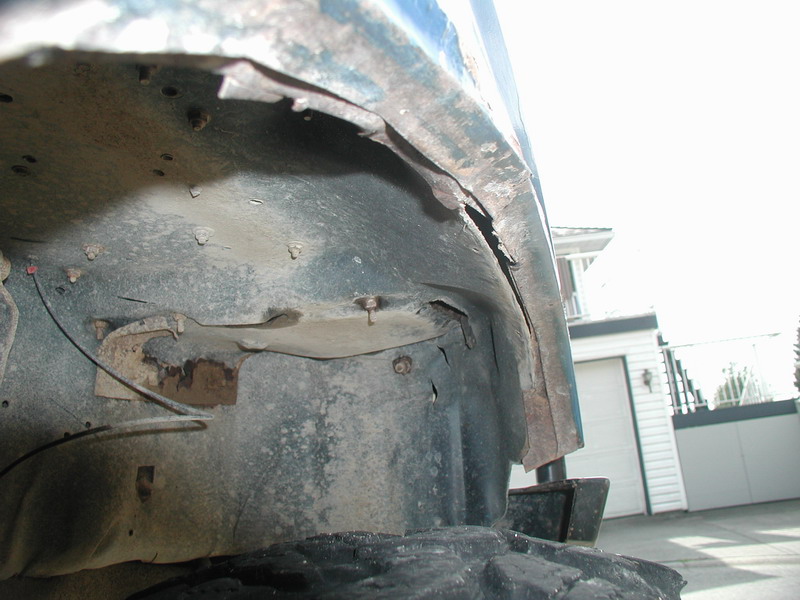Passenger side, front fender.