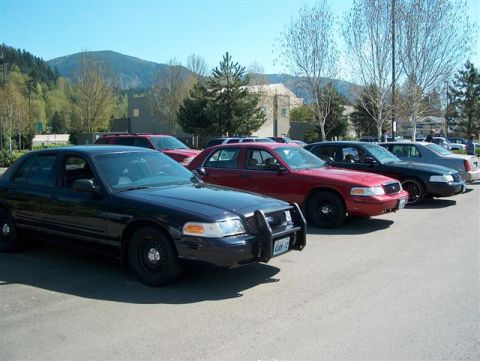 2001 Ford Crown Victoria - Several Ford Crown Victoria police cars are lined up in a parking lot under a clear blue sky.