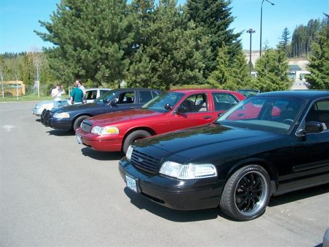 2001 Ford Crown Victoria - A line of Ford Crown Victoria sedans are parked together on a sunny day.