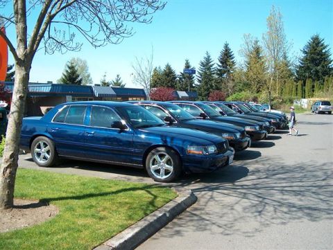 2001 Ford Crown Victoria - Several blue Ford Crown Victorias are parked in a row on a sunny day.