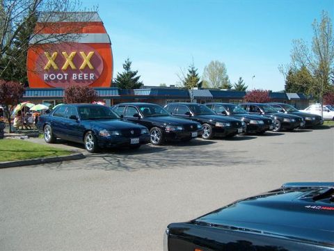 2001 Ford Crown Victoria - Several Ford Crown Victorias and Mercury Grand Marquis are parked in a lot in front of a XXX Root Beer establishment.