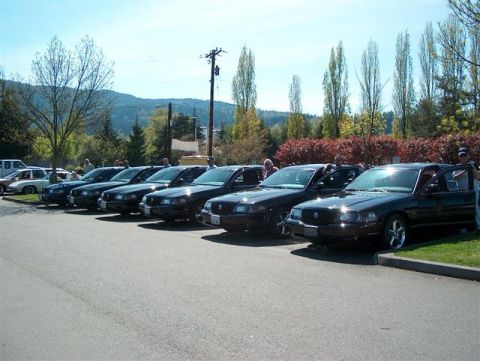 2001 Ford Crown Victoria - Several black Ford Crown Victorias are lined up in a parking lot under a clear sky.