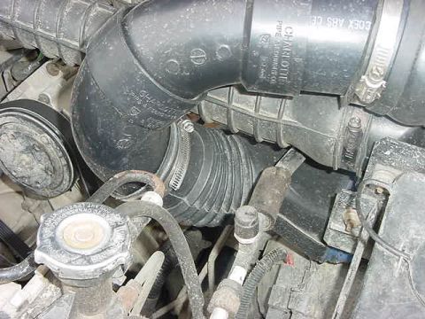 1985 Ford Bronco - A close-up view of engine components, including a black ribbed hose with a metal clamp and a silver radiator cap with black hoses connected…