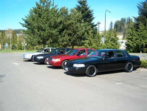 2001 Ford Crown Victoria - Four Ford Crown Victorias are parked in a lot on a sunny day.