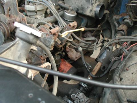 1985 Ford Bronco - A close-up view of the engine bay of a Ford Bronco, showing various engine components, wiring, and hoses. The engine appears to be older, w…