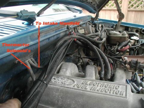 1985 Ford Bronco - Close-up view of the engine bay of a blue vehicle, showing the intake manifold and various hoses and electrical components. Labels point to…