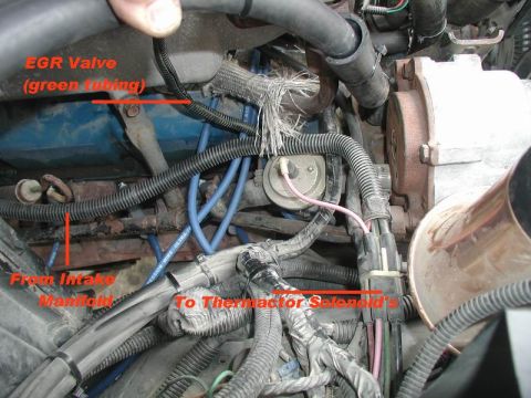 1985 Ford Bronco - A close-up view of engine components in a vehicle, with labels pointing to the EGR valve, intake manifold, and Thermactor solenoid.