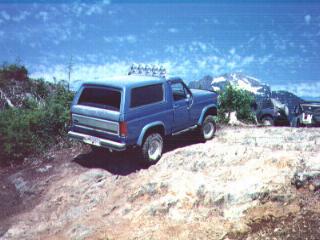 1985 Ford Bronco - Just walked right up!