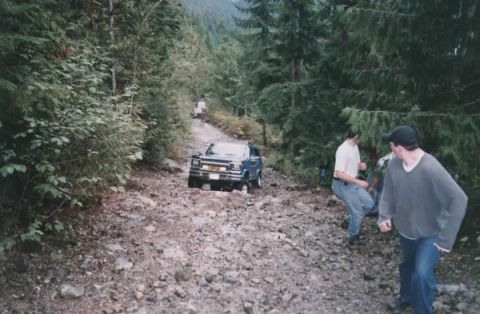 1985 Ford Bronco - Run!! Here comes the Bronco.