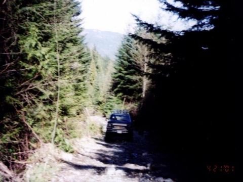 1985 Ford Bronco - A dark blue 1985 Ford Bronco is parked on a dirt road surrounded by tall evergreen trees. The vehicle is viewed from the front quarter angl…