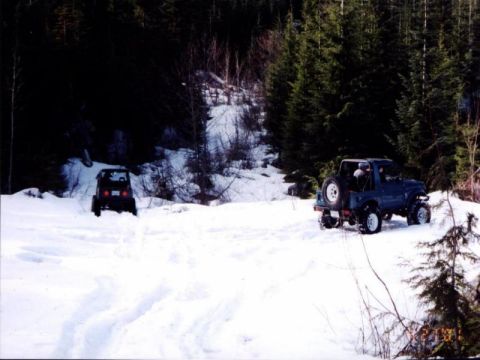 1985 Ford Bronco - This is as far as we could go.