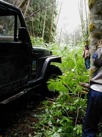 1985 Ford Bronco - John is first to go over the fallen tree. We had to stack up rocks and small branches to make a ramp.