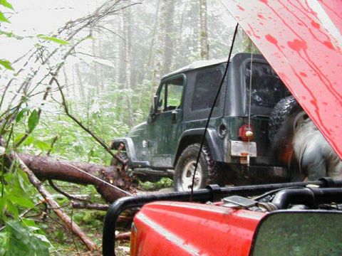 1985 Ford Bronco - Greg winched off of a tree in front of John.