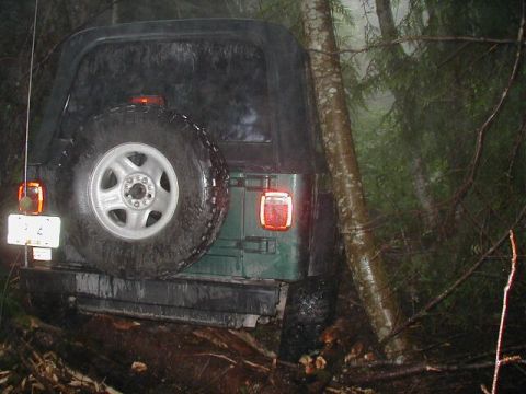 1985 Ford Bronco - Here we go again.