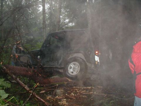 1985 Ford Bronco - A couple of guys pushed John off the tree.