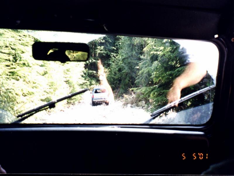 A Jeep's view of a Bronco.