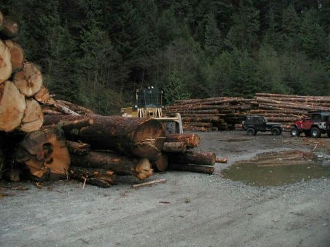 1985 Ford Bronco - One of the many pieces of logging equipment that were in the area.