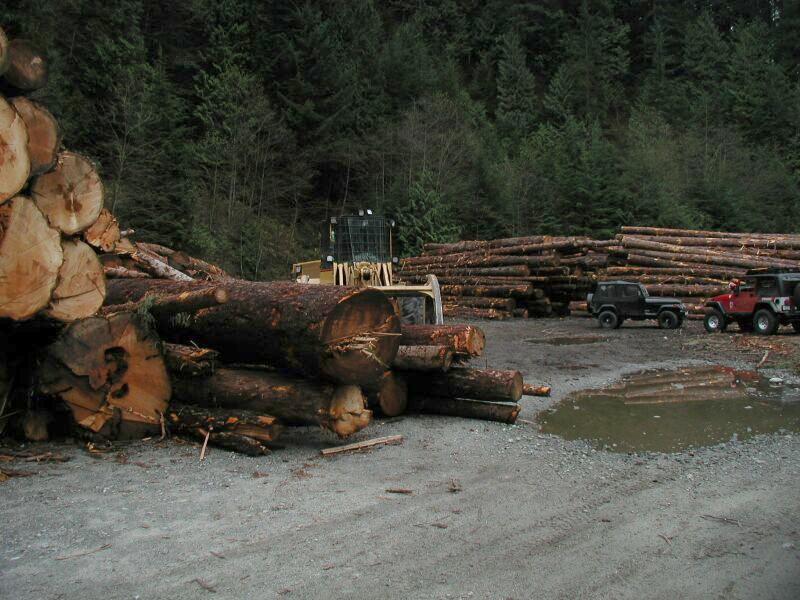 One of the many pieces of logging equipment that were in the area.
