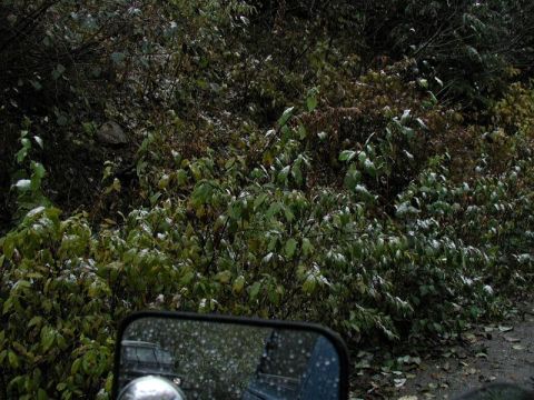 1985 Ford Bronco - The first sign of snow at 2000 feet.