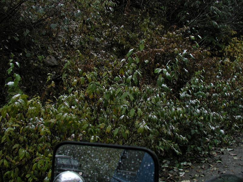 The first sign of snow at 2000 feet.