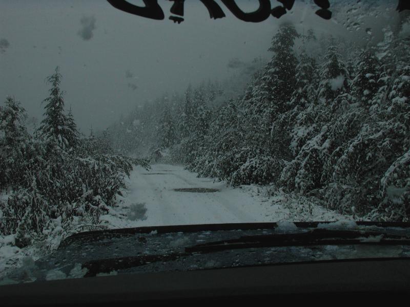 This at 4100 feet; plenty of snow falling.