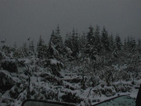 1985 Ford Bronco - This at 4100 feet; plenty of snow falling.