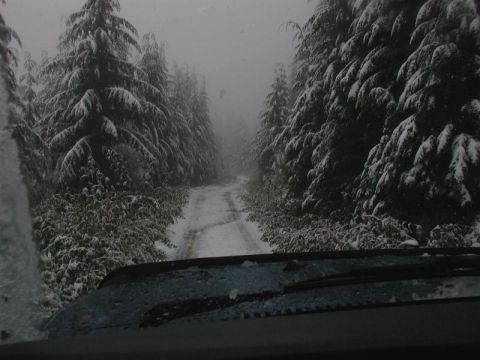 1985 Ford Bronco - This at 4100 feet; plenty of snow falling.
