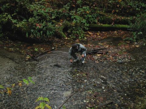 1985 Ford Bronco - One salmon was stuck, so Ed crossed the creek to save it.