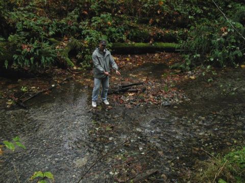1985 Ford Bronco - One salmon was stuck, so Ed crossed the creek to save it.