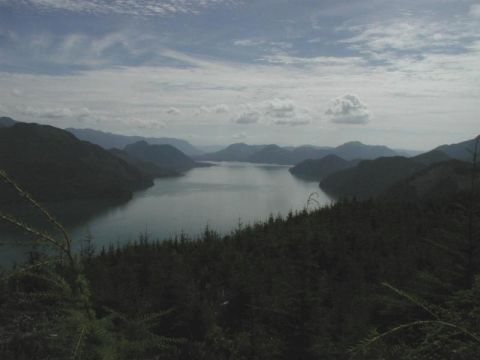 1985 Ford Bronco - From the lookout; looking South at Stave Lake.