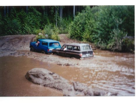 1985 Ford Bronco - A blue Ford Bronco and a dark-colored station wagon are stuck in a muddy body of water, surrounded by dense trees.