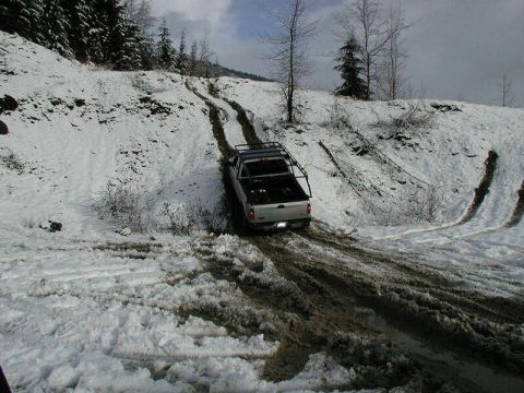 1985 Ford Bronco - So he tried going up. He did pretty well considering his long wheelbase and not having the front hubs locked.