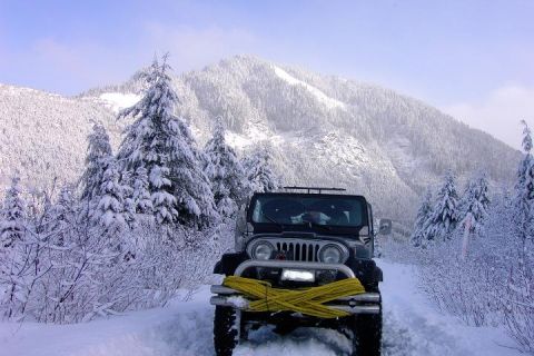 1985 Ford Bronco - This is typical of the scenery you get to see in the winter.