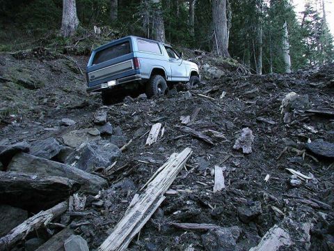 1985 Ford Bronco - Blue makes it look easy.