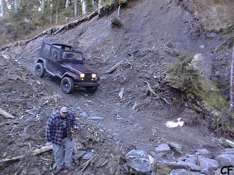 1985 Ford Bronco - He approaches.