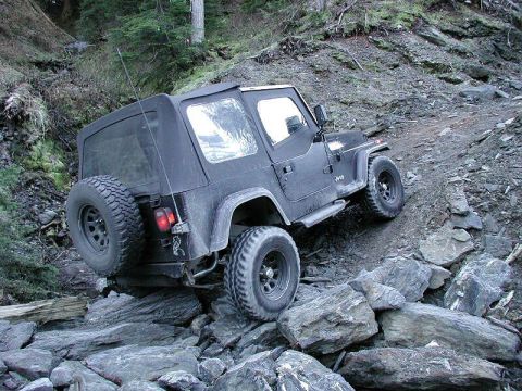 1985 Ford Bronco - He flexes a bit for the camera.