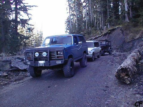 1985 Ford Bronco - The trucks pose for the camera.