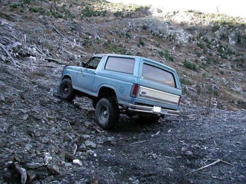 1985 Ford Bronco - Blue doing a little posing.