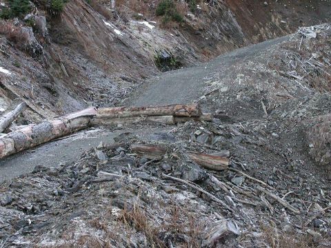 1985 Ford Bronco - There are two very deep washouts within 30', plus a lot of large logs blocking the road.
