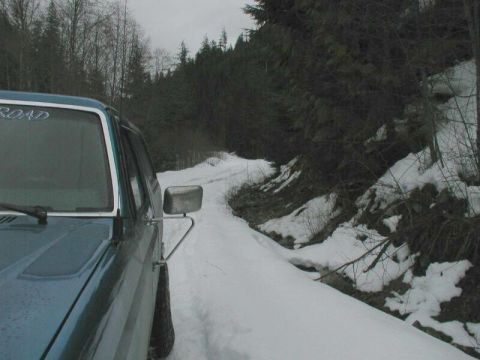 1985 Ford Bronco - I was the first to turn around.