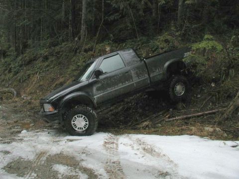 1985 Ford Bronco - Monkey see, monkey do.