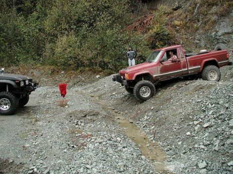 1985 Ford Bronco - Just needed a little tug.