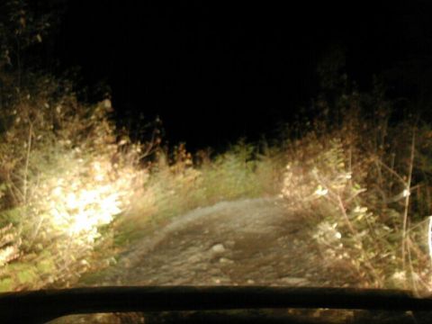 1985 Ford Bronco - Trying to show off the lights.