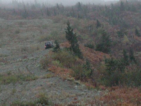 1985 Ford Bronco - A dark-colored SUV is parked on a rocky, overgrown hillside with sparse trees and brush. The vehicle is viewed from a distance at an angle…