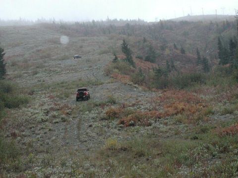 1985 Ford Bronco - A red SUV is driving up a dirt path on a hillside covered in vegetation. Another dark colored SUV is visible further up the hill.