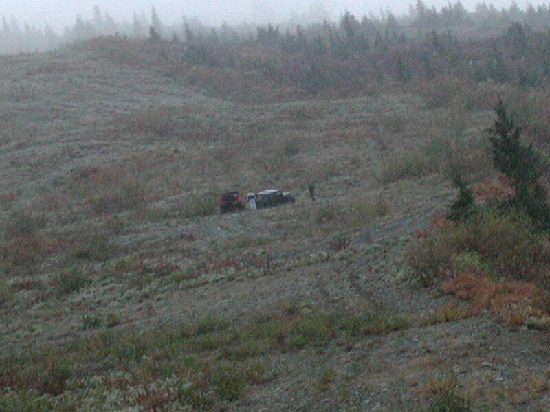 Two vehicles parked on a foggy, overgrown hillside.