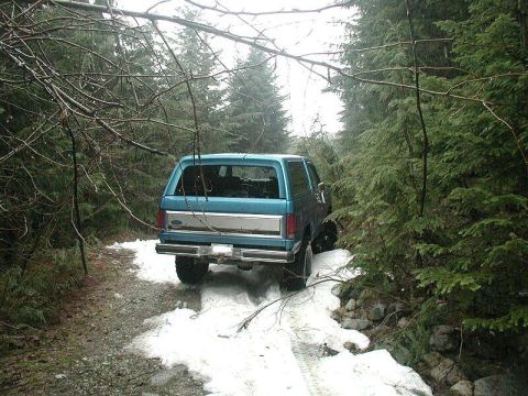 1985 Ford Bronco - The rear of a teal Ford Bronco is shown driving on a snowy, wooded trail. The vehicle is surrounded by dense evergreen trees and bare branc…